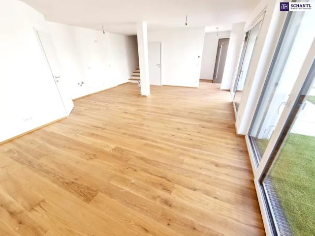 Haus kaufen in Donaustadt, Wien