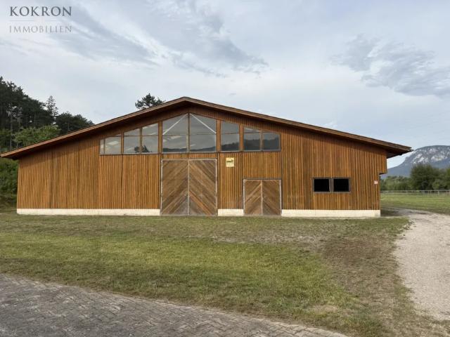 Haus kaufen in Winzendorf-Muthmannsdorf, Niederösterreich