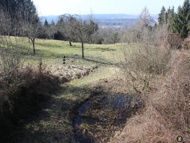 Haus kaufen in Wolfau, Burgenland