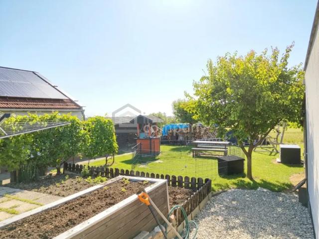 Haus kaufen in Würflach, Niederösterreich