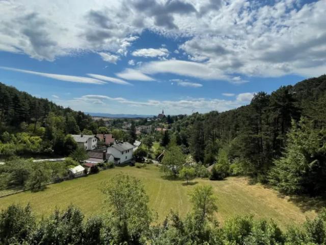 Haus kaufen in Würflach, Niederösterreich