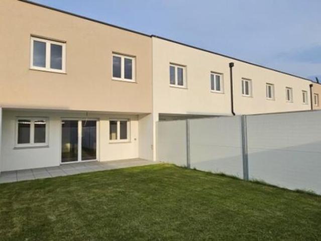Haus kaufen