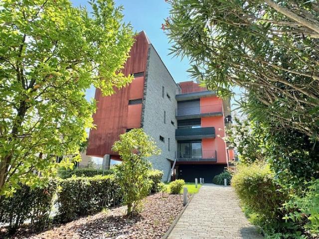 Immobilie kaufen in Losone, Tessin