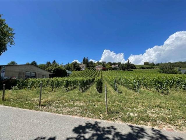 Atelier kaufen in Echandens-Denges, Waadt