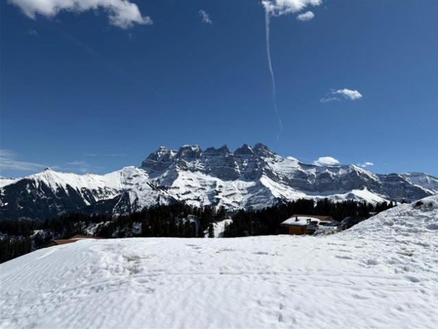 Grundstück kaufen in Val-d'Illiez, Wallis