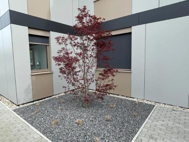 Wohnung kaufen in Achau, Niederösterreich