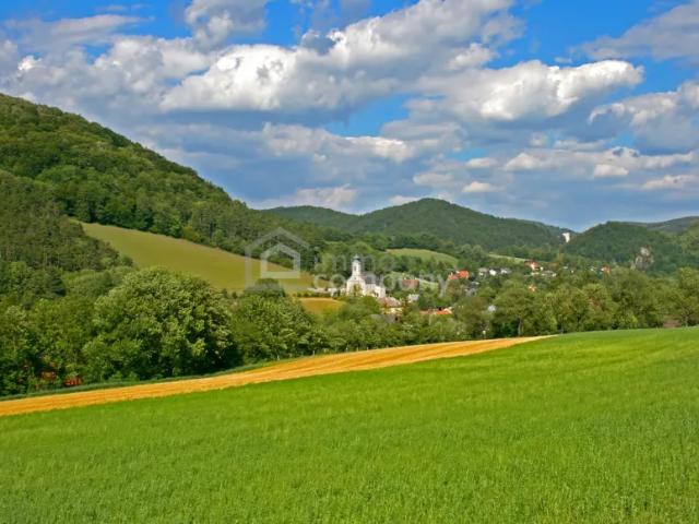 Wohnung kaufen in Altenmarkt an der Triesting, Bezirk Baden