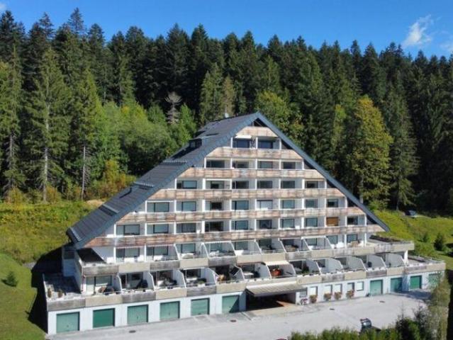 Wohnung kaufen in Bad Mitterndorf, Bezirk Liezen