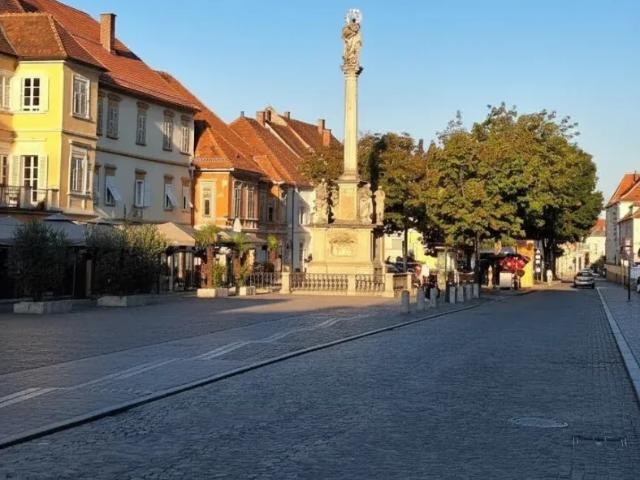 Wohnung kaufen in Laafeld, Bad Radkersburg