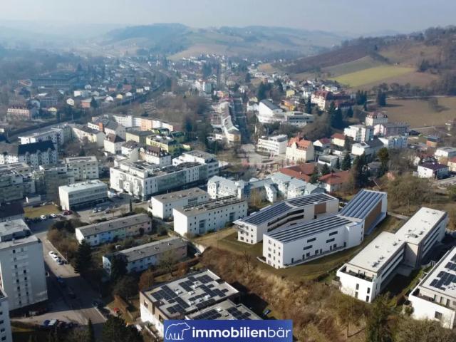 Wohnung kaufen in Bad Schallerbach, Bezirk Grieskirchen