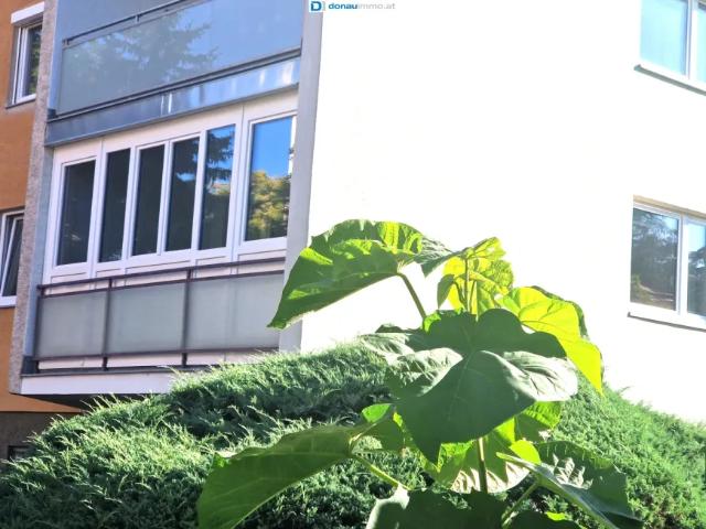Wohnung kaufen in Bad Vöslau, Niederösterreich
