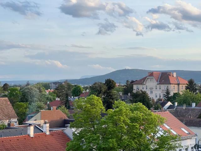 Wohnung kaufen in Baden, Niederösterreich