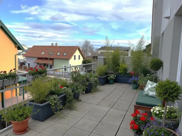Wohnung kaufen in Brunn am Gebirge, Niederösterreich