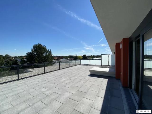 Wohnung kaufen in Ebreichsdorf, Niederösterreich