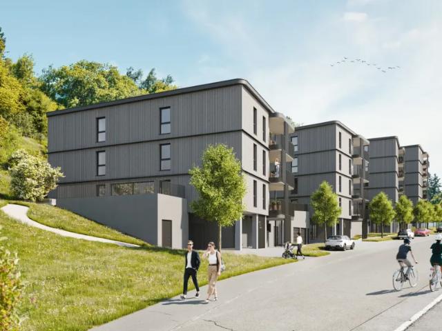 Wohnung kaufen in Kommingen, Götzis