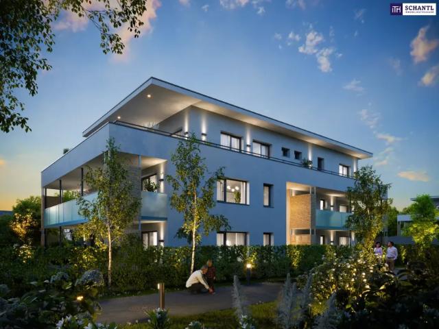 Wohnung kaufen in Liebenau, Gersdorf-Feistritz