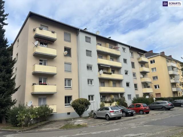 Wohnung kaufen in Andritz, Graz