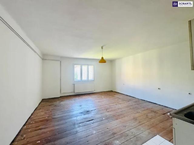 Wohnung kaufen in Andritz, Gersdorf-Feistritz