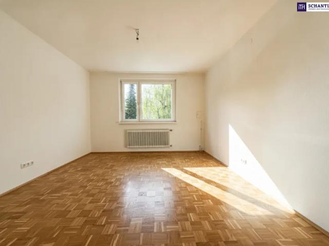 Wohnung kaufen in Andritz, Gersdorf-Feistritz