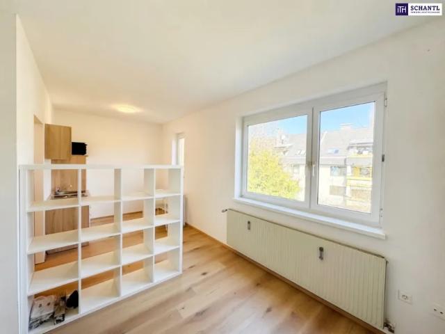 Wohnung kaufen in Katastralgemeinde Graz Stadt-St. Veit ob Graz, Graz