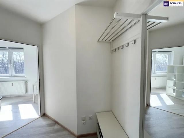 Wohnung kaufen in Katastralgemeinde Graz Stadt-St. Veit ob Graz, Graz