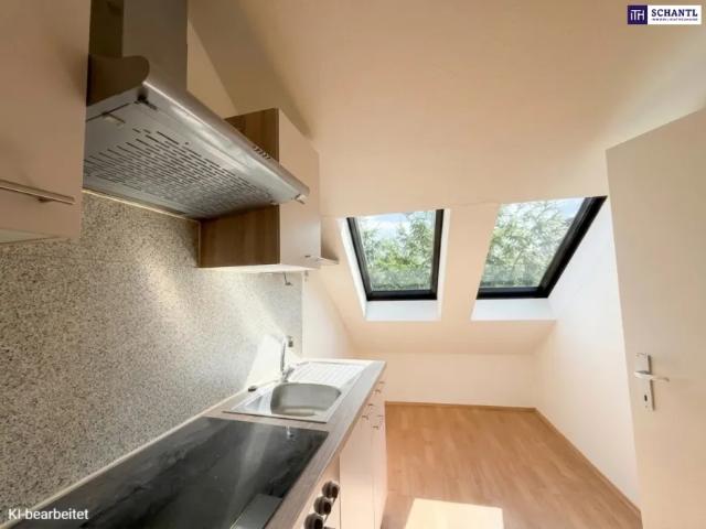 Wohnung kaufen in Katastralgemeinde Graz Stadt-St. Veit ob Graz, Graz