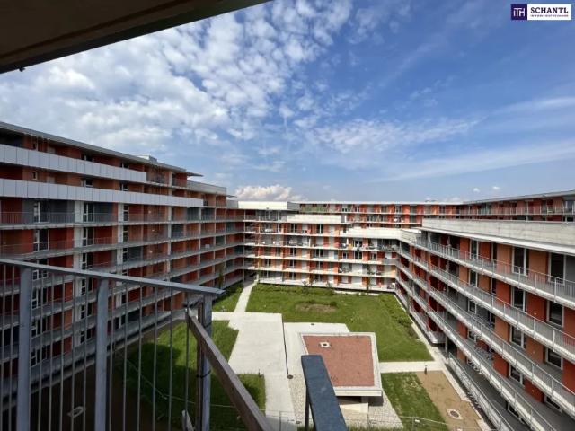 Wohnung kaufen in Katastralgemeinde Graz Stadt-St. Veit ob Graz, Graz