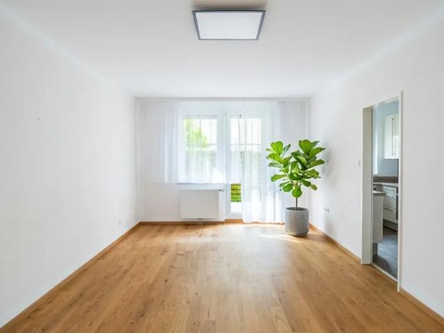Wohnung kaufen in Groß-Enzersdorf, Niederösterreich