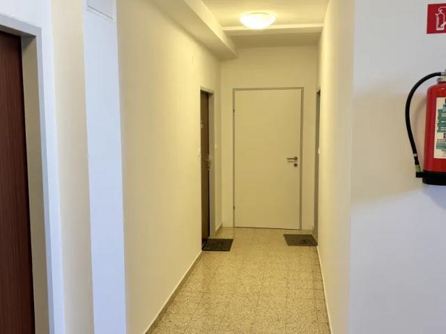 Wohnung kaufen in Güssing, Burgenland