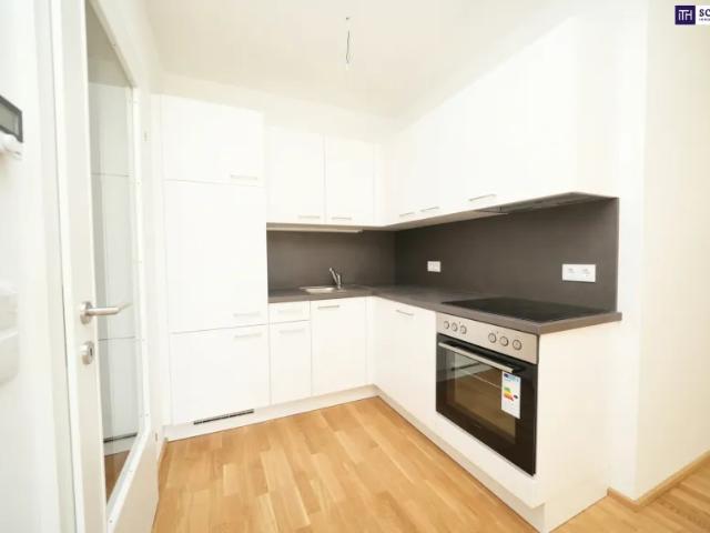 Wohnung kaufen in Gersdorf-Feistritz, Steiermark