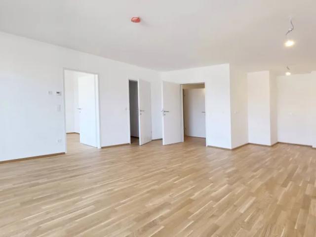 Wohnung kaufen in Kirchberg am Wagram, Niederösterreich