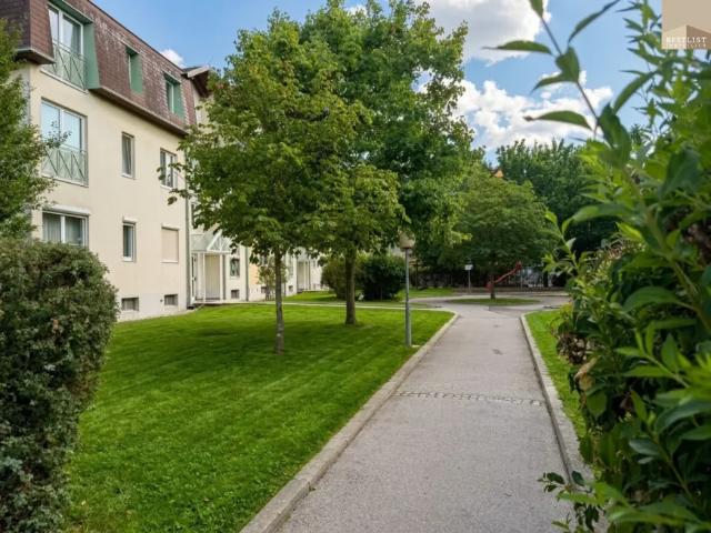 Wohnung kaufen in Kottingbrunn, Niederösterreich
