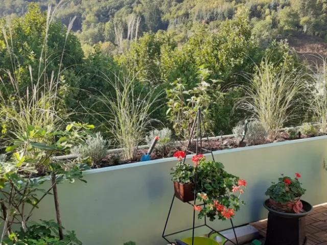 Wohnung kaufen in Krems an der Donau, Niederösterreich