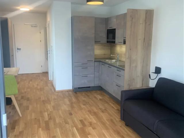 Wohnung kaufen in Leogang, Bezirk Zell am See
