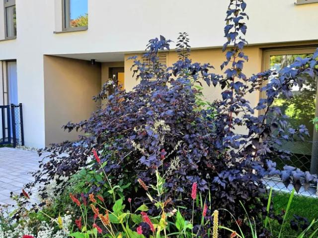 Wohnung kaufen in Leopoldsdorf im Marchfelde, Niederösterreich