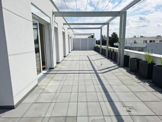 Wohnung kaufen in Maria Enzersdorf, Bezirk Mödling