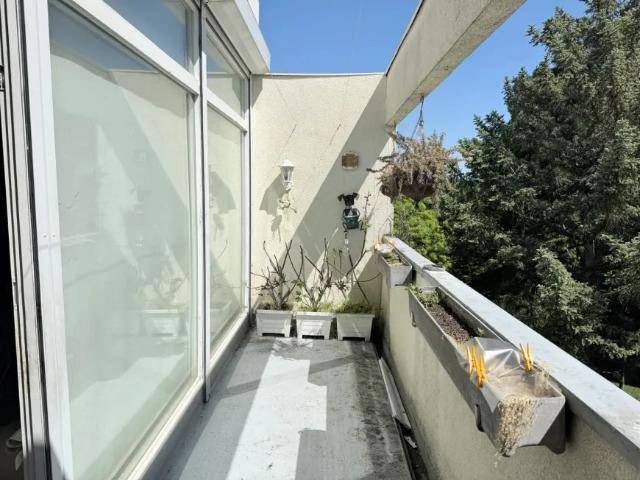 Wohnung kaufen in Maria Enzersdorf, Niederösterreich