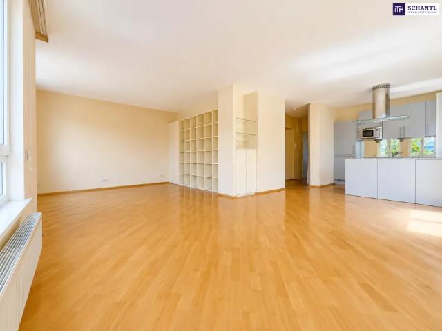 Wohnung kaufen in Mödling, Niederösterreich
