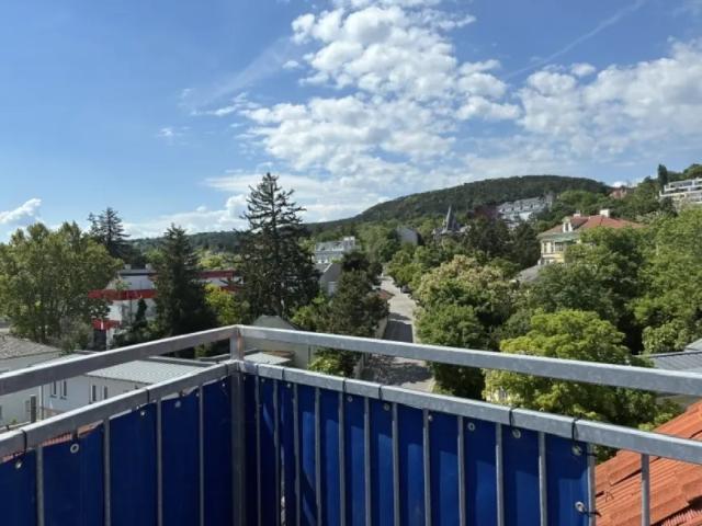 Wohnung kaufen in Mödling, Niederösterreich