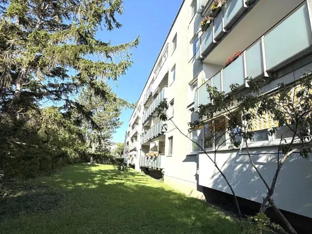 Wohnung kaufen in Mödling, Niederösterreich