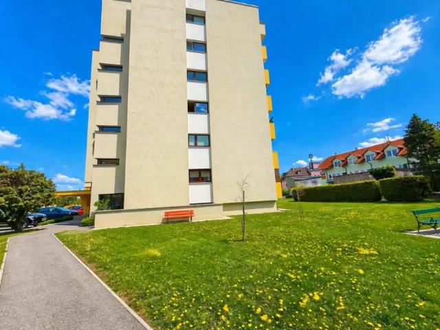 Wohnung kaufen in Neunkirchen, Niederösterreich