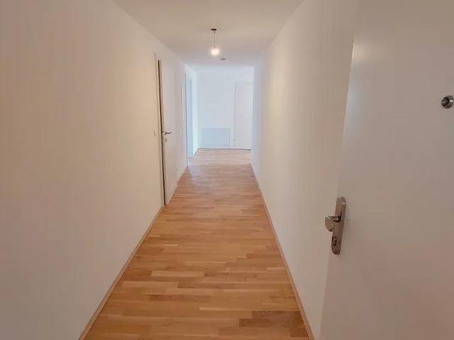 Wohnung kaufen in Katastralgemeinde Obergrafendorf, Ober-Grafendorf