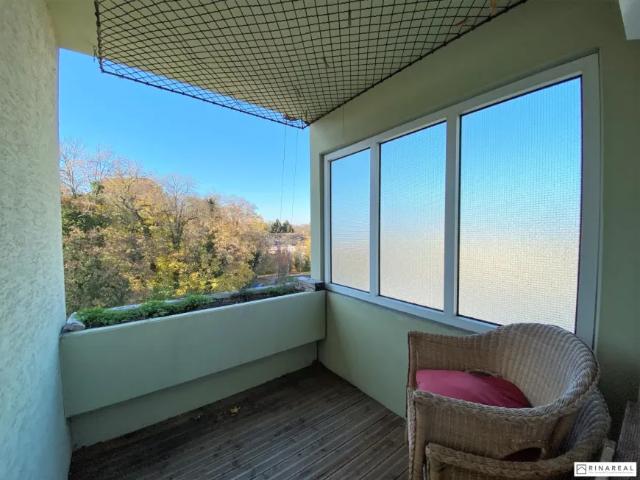 Wohnung kaufen in Pottendorf, Niederösterreich