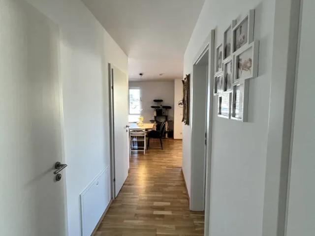 Wohnung kaufen in Ried im Innkreis, Bezirk Ried