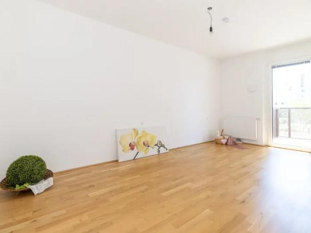 Wohnung kaufen in Katastralgemeinde Schwechat, Schwechat