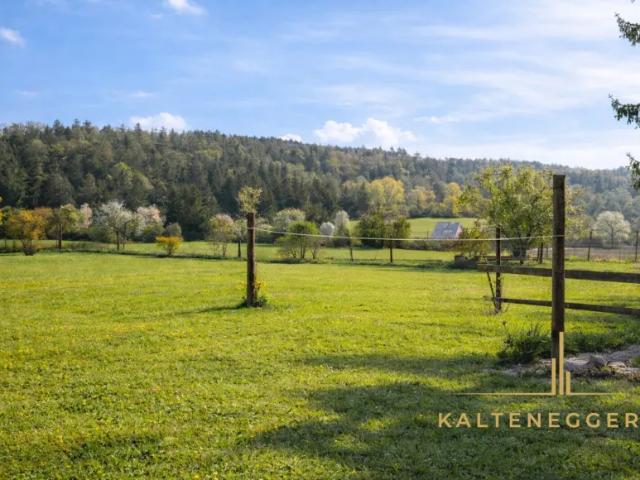 Wohnung kaufen in Seebenstein, Niederösterreich