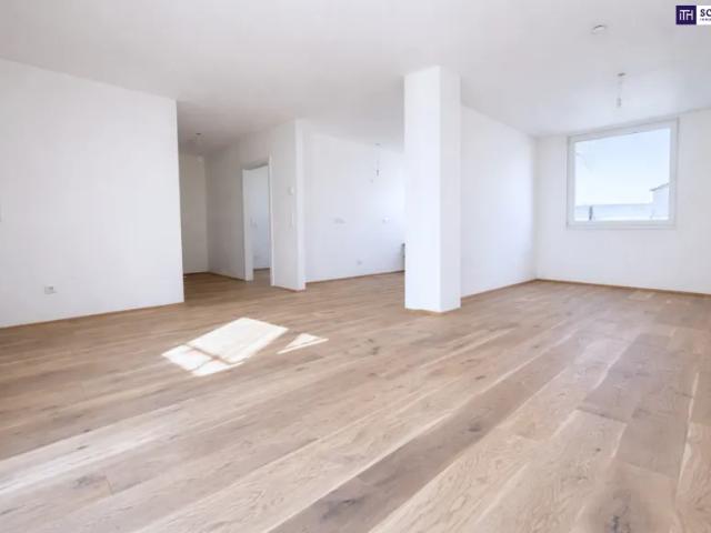Wohnung kaufen in Katastralgemeinde Traiskirchen, Traiskirchen