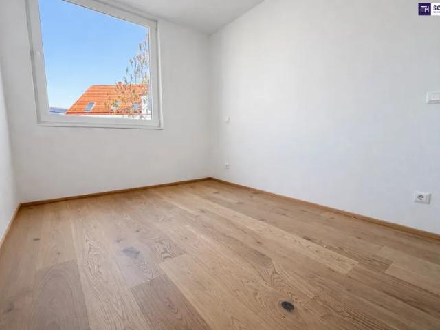 Wohnung kaufen in Katastralgemeinde Traiskirchen, Traiskirchen