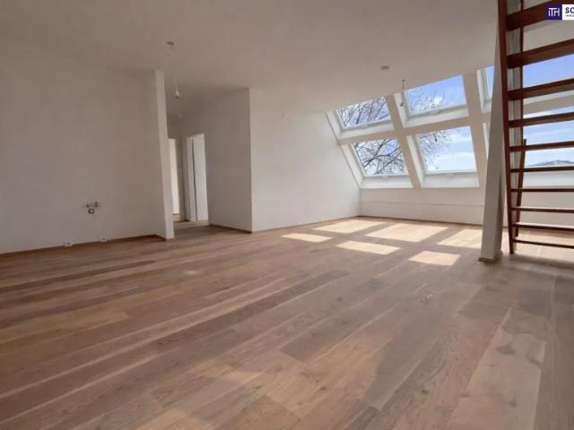 Wohnung kaufen in Katastralgemeinde Traiskirchen, Traiskirchen