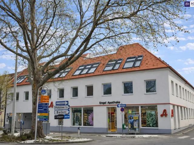 Wohnung kaufen in Katastralgemeinde Traiskirchen, Traiskirchen